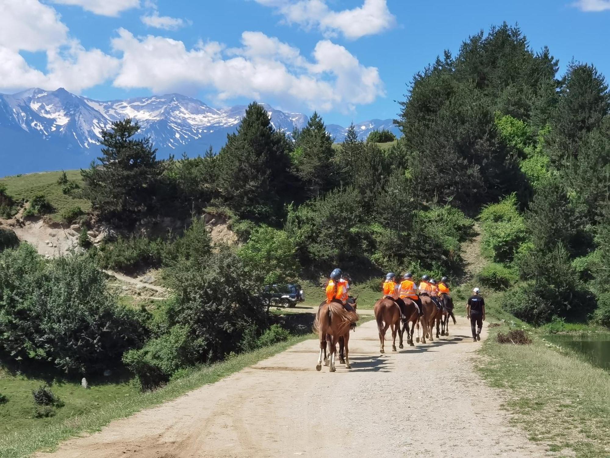 Lucky Bansko Aparthotel Spa & Relax Ngoại thất bức ảnh Horse riding in the park